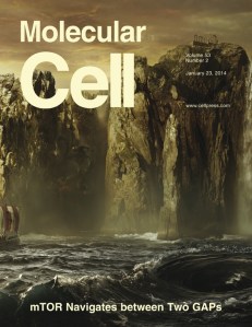 MollCell_Jan2014Vol53No2