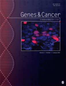 GenesandCancer_LaurenHuff