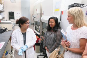 Lab member answers questions about the microscope samples.