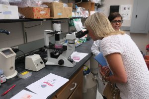 Another tour member looks into the microscope.