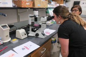 Tour member looks into a microscope.